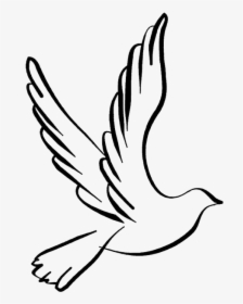 White Dove Clipart Dove Open Wing - Dove Drawing Png, Transparent Png, Free Download