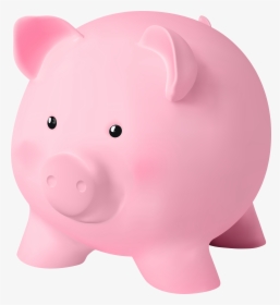 Domestic-pig, HD Png Download, Free Download
