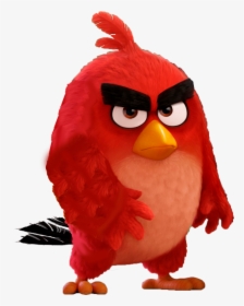 Red - Angry Bird Wallpaper 4k, HD Png Download, Free Download