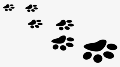 #footsteps #paws #footprints #animals #pets #cat #dog - White Paw Prints Png, Transparent Png, Free Download