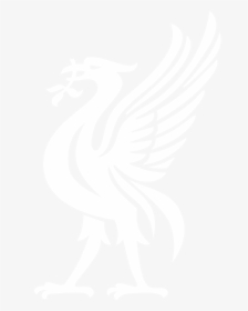 The Reds Army Liverbird Vector Stock Liverpool Fc Logo, HD Png Download, Free Download