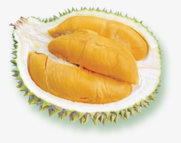 Transparent Durian Png - Gambar Durian Png Hd, Png Download, Free Download