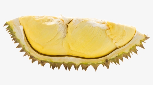 Durian Png - Transparent Background Durian Png, Png Download, Free Download