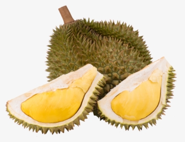 Durian, HD Png Download, Free Download