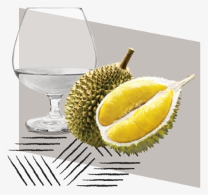 Durian Fruit Transparent Background, HD Png Download, Free Download
