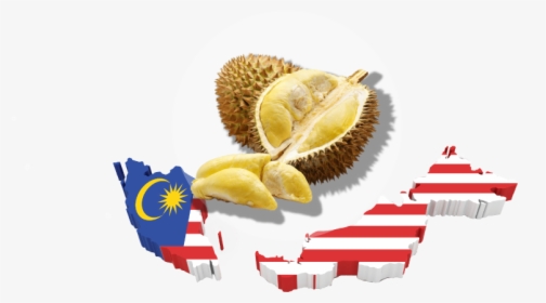 Durian Malaysia Map - Transparent Malaysia Flag Map, HD Png Download, Free Download
