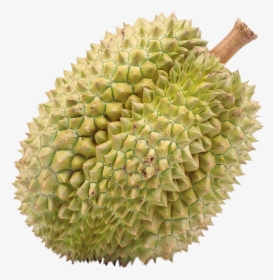 #fruits #durian #yellow - Transparent Background Durian Transparent, HD Png Download, Free Download