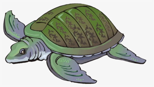 Water Turtle Clipart, HD Png Download, Free Download