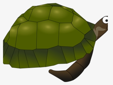 Transparent Green Sea Turtle Clipart - Sea Turtle Clip Art, HD Png Download, Free Download