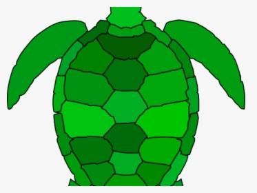 Green Turtle Cliparts - Sea Turtle Clip Art, HD Png Download, Free Download