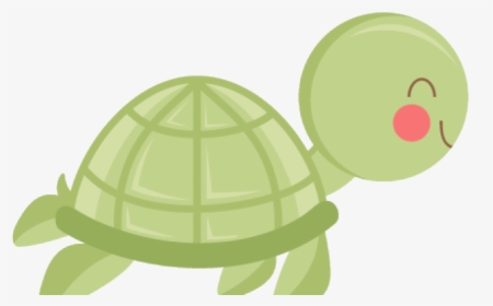 Baby Turtle Cliparts - Turtle Clipart Transparent, HD Png Download, Free Download