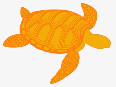 Sea Turtle Clipart Olive Ridley - Shadow Of A Turtle, HD Png Download, Free Download