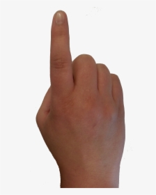 Hand Finger Thumb - Real Hand Pointer Png, Transparent Png, Free Download