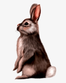 Rabbit Painting Png, Transparent Png, Free Download
