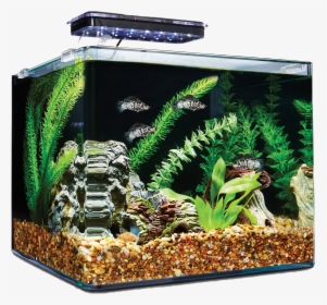 Aquarium Fish Tank Png Free Download - Imagitarium 6.8 Gallon Tank, Transparent Png, Free Download