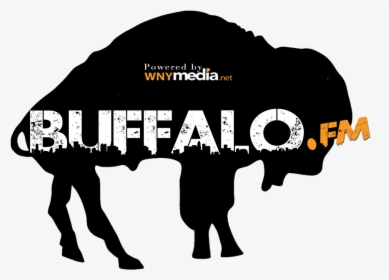 Buffalo Bills 1969 Nfl/afl Draft Detroit Lions - Punxsutawney Phil, HD Png Download, Free Download