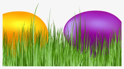 Easter Grass Eggs Png Download Image - Grass, Transparent Png, Free Download