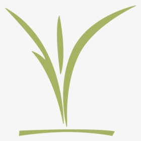 Ccc Childrens Logo Green - Grass, HD Png Download, Free Download