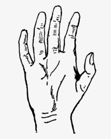 Hand Clipart Creepy, HD Png Download, Free Download