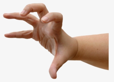 Grasping Hand, HD Png Download, Free Download