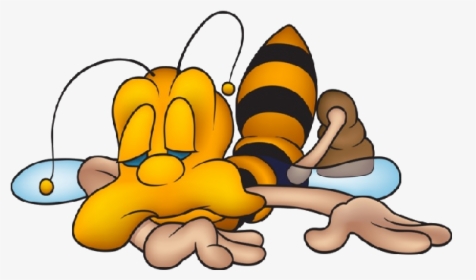 Cute Bee Png - Funny Bees, Transparent Png, Free Download