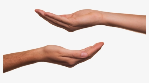 Transparent Cupped Hands, HD Png Download - vhv