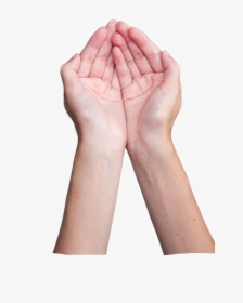 Cupped Hands Png, Transparent Png, Free Download