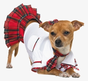 School Girl Dog Costume, HD Png Download, Free Download