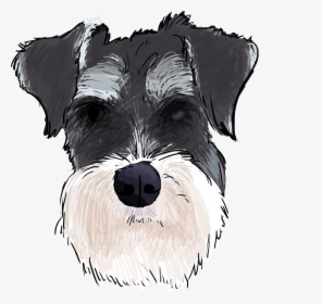 Schnauzer Png, Transparent Png, Free Download