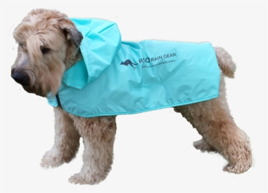 Dog Wearing A Roo Rain Gear Dog Poncho - Poncho Dogs, HD Png Download, Free Download