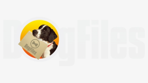 Dog Files - Croatia, HD Png Download, Free Download