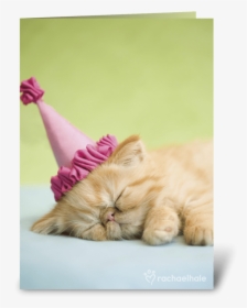 Happy Birthday Kitten In Party Hat Greeting Card - Happy Birthday Jennifer Cat, HD Png Download, Free Download