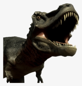 Dinosaurs Fathead - Fathead Animals, HD Png Download, Free Download