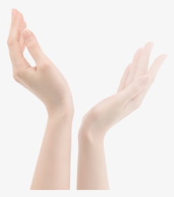 Manicured Hands - Mannequin, HD Png Download, Free Download