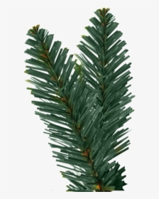 Christmas Tree Royal Blue - Christmas Tree Leaf Png, Transparent Png, Free Download