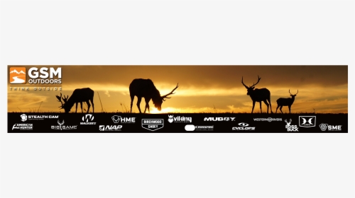 Elk, HD Png Download, Free Download