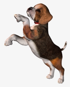 Perro Clipart Beagle - Beagle Png, Transparent Png, Free Download