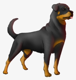 Rottweiler Png - Transparent Background Rottweiler Drawing, Png Download, Free Download