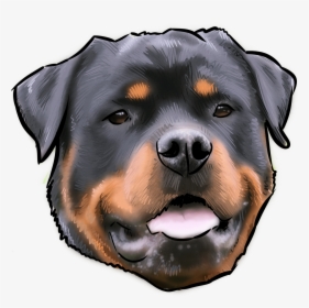48 Why Are You A Rottweiler - مميزات وعيوب كلاب الروت وايلر, HD Png Download, Free Download