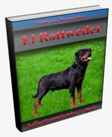 Rottweiler, HD Png Download, Free Download
