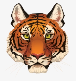 Transparent Bear Face Png - Picsart Tiger Face Png, Png Download, Free Download