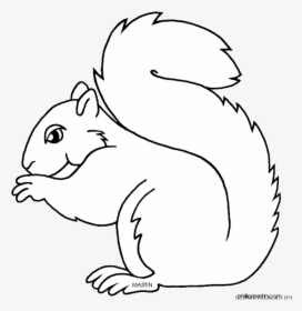 Transparent Squirrel Clip Art - North Carolina State Mammal, HD Png Download, Free Download