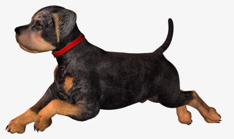Rottweiler Dachshund Puppy Clip Art - Clip Art Immagini Cani, HD Png Download, Free Download