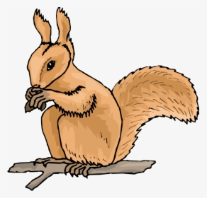 Free Squirrel Clipart - Squirrel Clipart, HD Png Download, Free Download