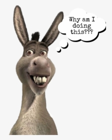#shrek #donkey #freetoedit #meme #funny - Donkey From Shrek Head, HD Png Download, Free Download