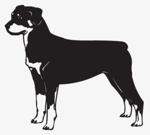 Rottweiler Black And White, HD Png Download, Free Download