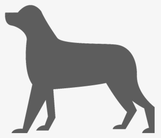 Dog's Pain Icon, HD Png Download, Free Download