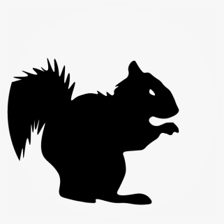 Squirrel Illustration- - Illustration, HD Png Download, Free Download