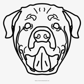 Rottweiler Coloring Page - Dog Rottweiler Para Colorir, HD Png Download, Free Download