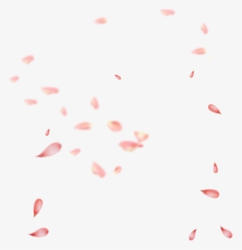 Petal Pink Gratis Transprent - Cherry Blossom Petals Png, Transparent Png, Free Download